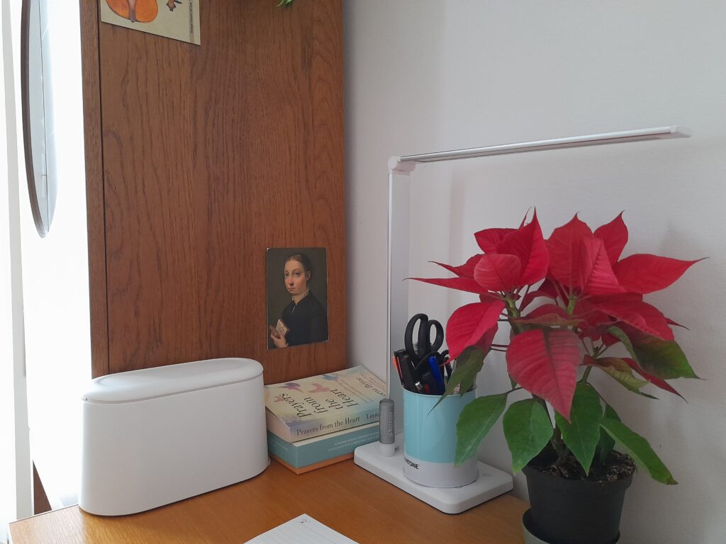 이탈리아 집 안 책상 위 포인세티아 화분과 조용한 실내 풍경