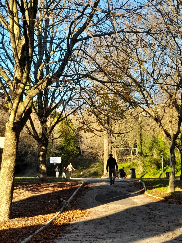 이탈리아 공원에서 본 부모와 아이의 모습, 잔소리와 사랑 사이의 육아 장면