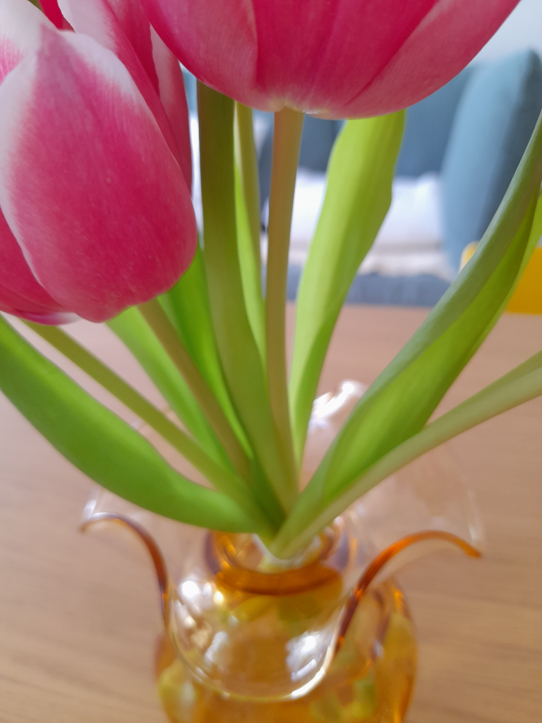 연록색 줄기와 입사귀가 달린 핑크색 튤립이 노란색 투명한 유리 화병이 꽂혀있다.
